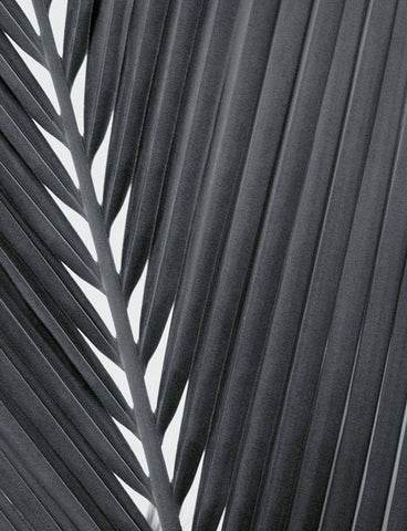 Feuillage Design Black Ornate Wood Framed Art Print with Double Matting by Braun Studio