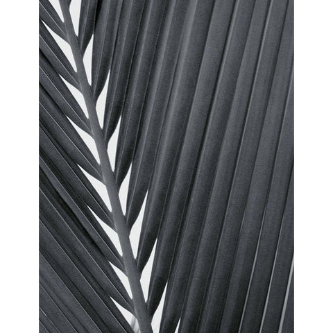 Feuillage Design Black Modern Wood Framed Art Print by Braun Studio