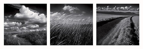 La clef des champs White Modern Wood Framed Art Print with Double Matting by de Lattre, Pascal