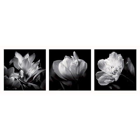 Illusions printanieres 1 Black Modern Wood Framed Art Print with Double Matting by Mercier, Bruno