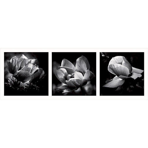 Illusions printanieres 2 White Modern Wood Framed Art Print by Mercier, Bruno