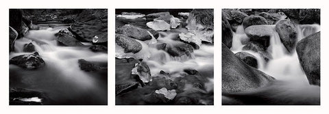 Eaux vives Black Ornate Wood Framed Art Print with Double Matting by Poli, Jean-Philippe