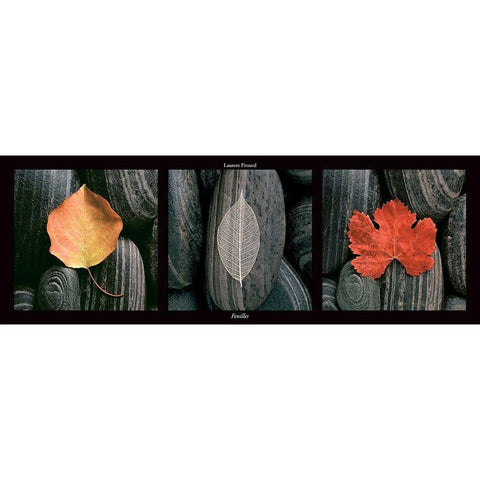 Feuilles Black Modern Wood Framed Art Print with Double Matting by Pinsard, Laurent