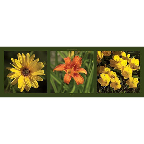 Fleurs Gold Ornate Wood Framed Art Print with Double Matting by Pinsard, Laurent