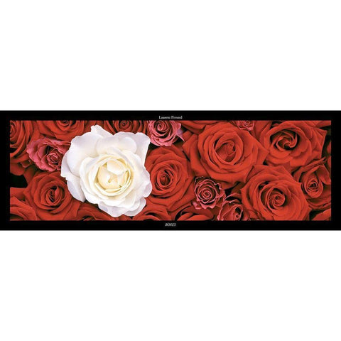 Roses I Gold Ornate Wood Framed Art Print with Double Matting by Pinsard, Laurent