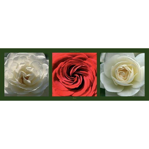 Roses II Gold Ornate Wood Framed Art Print with Double Matting by Pinsard, Laurent