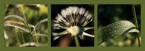 Rosee White Modern Wood Framed Art Print with Double Matting by Pinsard, Laurent