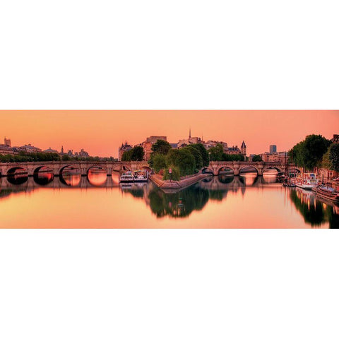 Pont neuf  Gold Ornate Wood Framed Art Print with Double Matting by AG