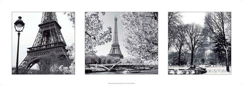 Paris Floral White Modern Wood Framed Art Print with Double Matting by Blonde Attitude