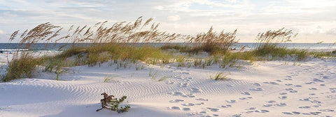 Plage 11 White Modern Wood Framed Art Print with Double Matting by Braun Studio