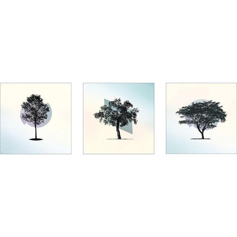Spectrum Composition Black Modern Wood Framed Art Print by Braun Studio