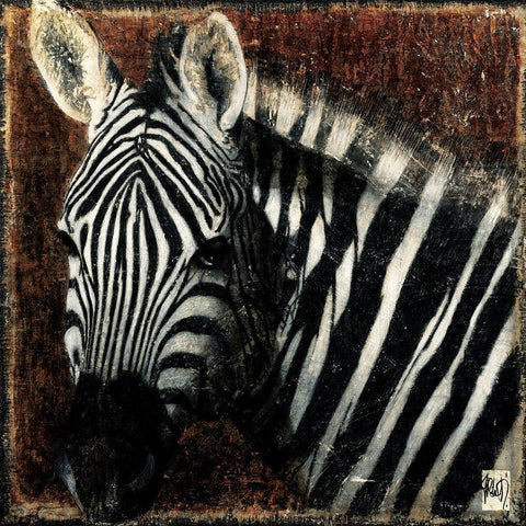 Portrait de zebre White Modern Wood Framed Art Print with Double Matting by Arietti, Fabienne