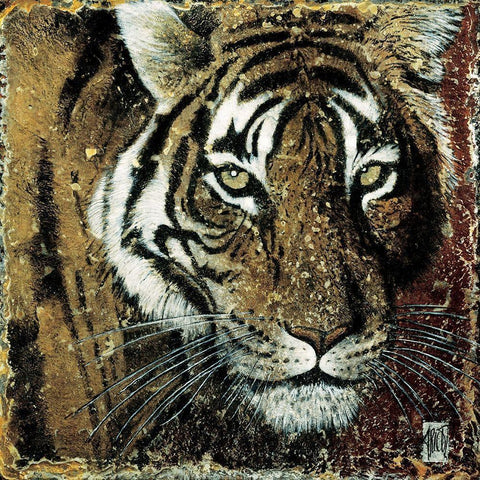 Portrait de tigre White Modern Wood Framed Art Print with Double Matting by Arietti, Fabienne