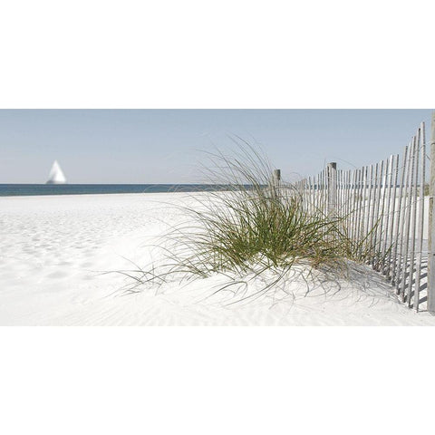 Plage 5 Black Modern Wood Framed Art Print with Double Matting by Braun Studio