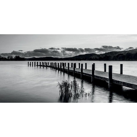 Ponton 3 White Modern Wood Framed Art Print by Braun Studio