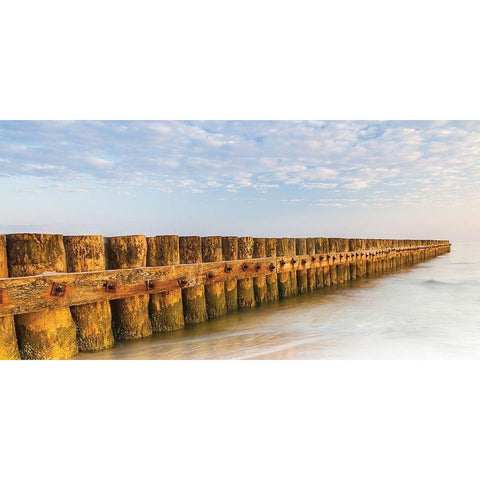 Ponton 1 White Modern Wood Framed Art Print by Braun Studio