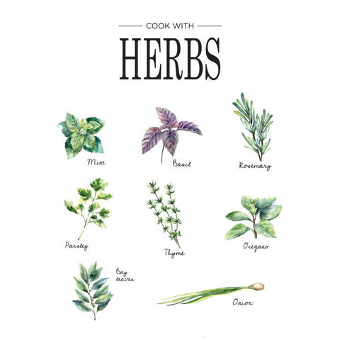 Herbs Black Modern Wood Framed Art Print with Double Matting by Braun Studio