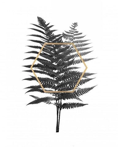Fern Leaf with Gold Black Ornate Wood Framed Art Print with Double Matting by Braun Studio