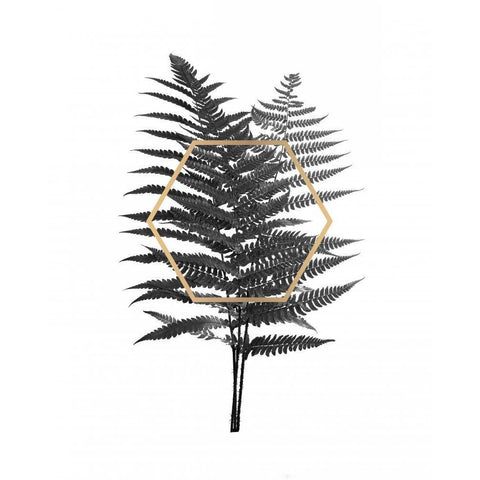 Fern Leaf with Gold White Modern Wood Framed Art Print by Braun Studio
