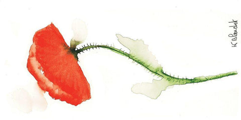 Coquelicot solo II White Modern Wood Framed Art Print with Double Matting by Blanchet, Karl