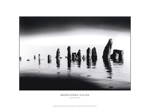 Monolithes salins Black Ornate Wood Framed Art Print with Double Matting by Bazin, Emmanuel