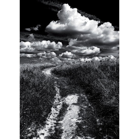 Decroche-moi un nuage Black Modern Wood Framed Art Print with Double Matting by de Lattre, Pascal