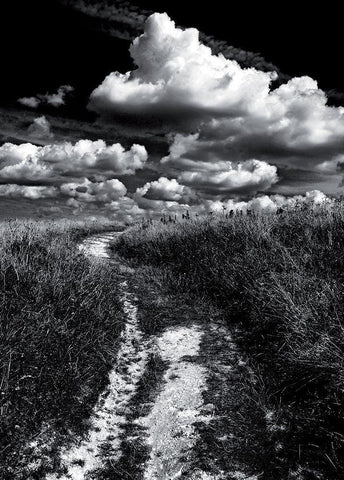 Decroche-moi un nuage Black Ornate Wood Framed Art Print with Double Matting by de Lattre, Pascal