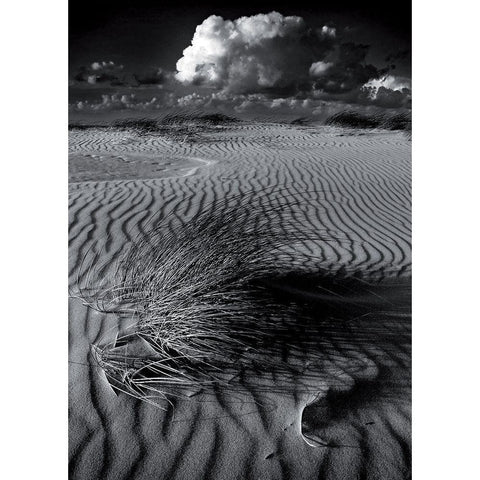 Mimetisme Black Modern Wood Framed Art Print with Double Matting by de Lattre, Pascal