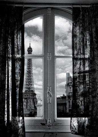 Fenetre sur Paris Black Ornate Wood Framed Art Print with Double Matting by Hellerdani, Mauricio