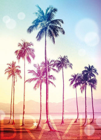 Brazil Black Ornate Wood Framed Art Print with Double Matting by Blonde Attitude