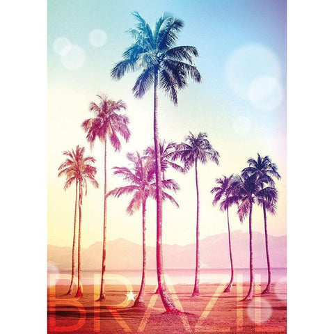 Brazil Black Modern Wood Framed Art Print with Double Matting by Blonde Attitude