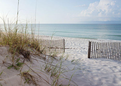 Plage 12 Black Ornate Wood Framed Art Print with Double Matting by Braun Studio