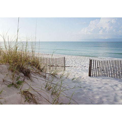 Plage 12 Black Modern Wood Framed Art Print by Braun Studio