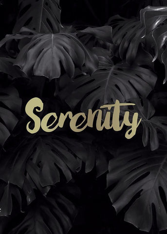 Serenity Black Ornate Wood Framed Art Print with Double Matting by Braun Studio