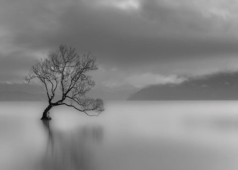 Larbre du lac Black Ornate Wood Framed Art Print with Double Matting by Braun Studio