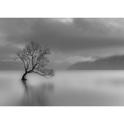 Larbre du lac Black Modern Wood Framed Art Print with Double Matting by Braun Studio