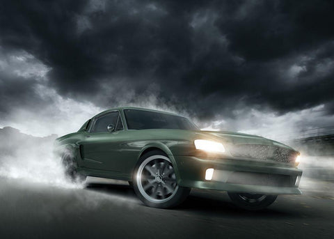 Go fast 1 Black Ornate Wood Framed Art Print with Double Matting by Braun Studio