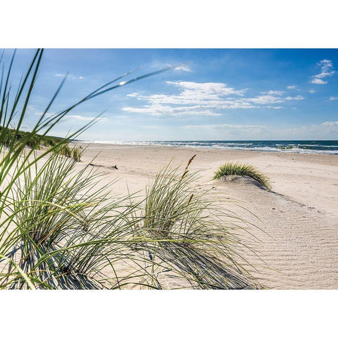 Plage 13 White Modern Wood Framed Art Print by Braun Studio