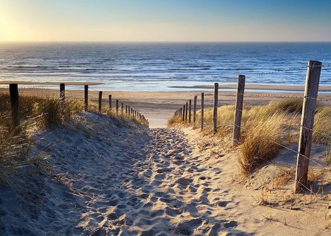 Plage 15 Black Ornate Wood Framed Art Print with Double Matting by Braun Studio