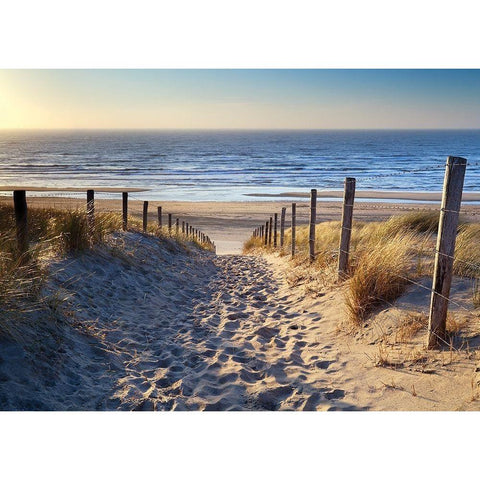 Plage 15 Black Modern Wood Framed Art Print by Braun Studio