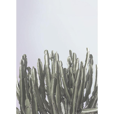 Cactus Cierges White Modern Wood Framed Art Print by Braun Studio