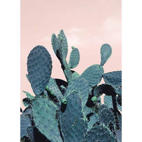 Cactus Raquettes Gold Ornate Wood Framed Art Print with Double Matting by Braun Studio
