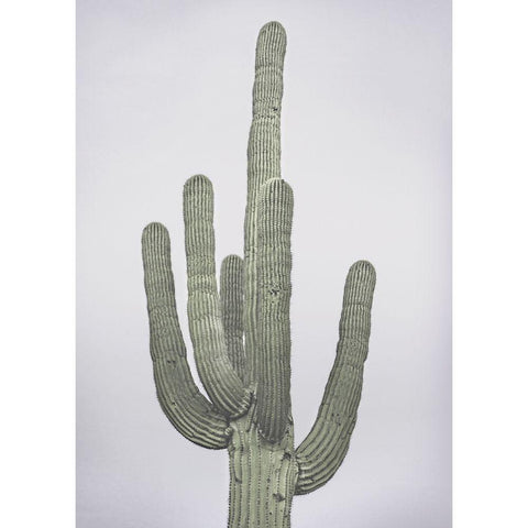 Cactus Totem White Modern Wood Framed Art Print by Braun Studio