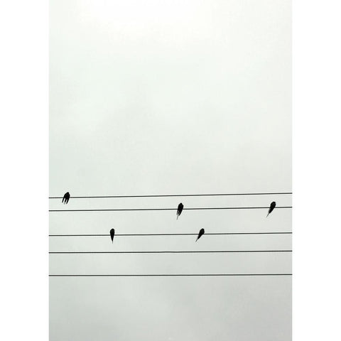 Guitar Birds White Modern Wood Framed Art Print by Braun Studio