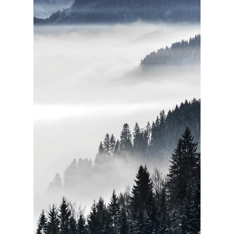 Misty Mountains Gold Ornate Wood Framed Art Print with Double Matting by Braun Studio