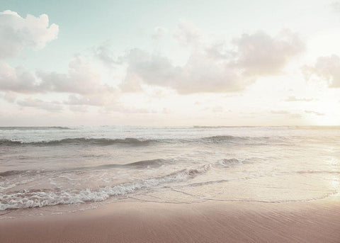 Bord de mer 1 Black Ornate Wood Framed Art Print with Double Matting by BRAUN Studio