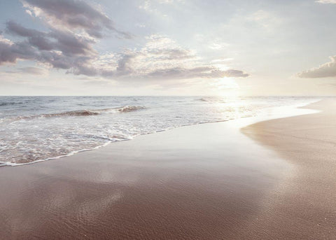 Bord de mer 2 Black Ornate Wood Framed Art Print with Double Matting by BRAUN Studio