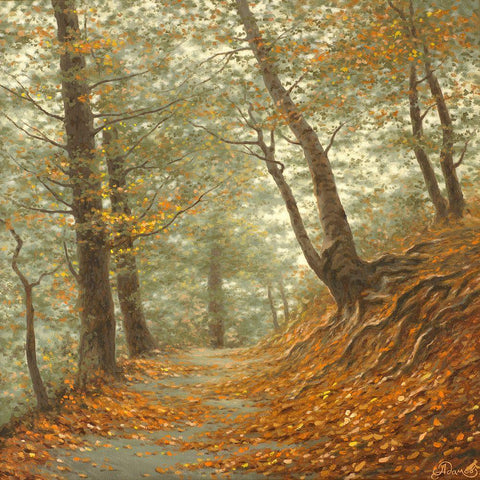 The Path to the Forest White Modern Wood Framed Art Print with Double Matting by Adamov, Alexey