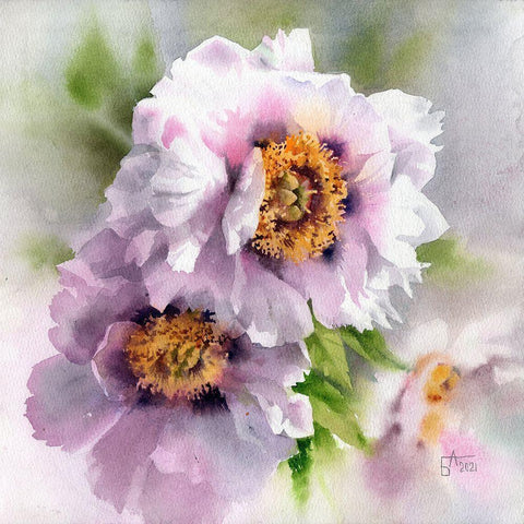 Peonies in Square Format White Modern Wood Framed Art Print by Besedina, Anastasiia