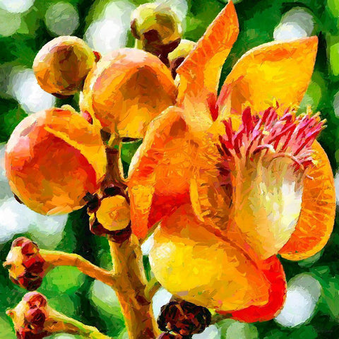 Bud in Bloom White Modern Wood Framed Art Print with Double Matting by Medeiros, Celito